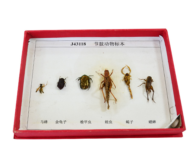 43118(ji)֫(bio)
